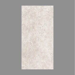 NARMADA - Glossy - Amica Gris - 600 x 1200 mm