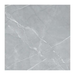 NARMADA - Vitrified Tiles - Glossy - Armani Grey - 600 x 600 mm