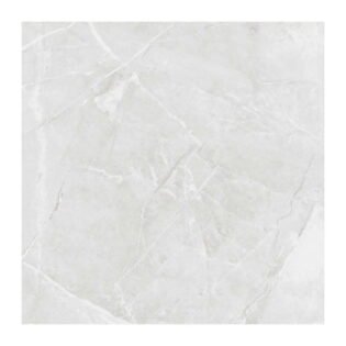 NARMADA - Glossy - Armani Light Grey - 600 x 600 mm