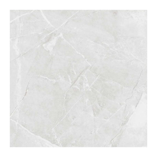 NARMADA - Glossy - Armani Light Grey - 600 x 600 mm