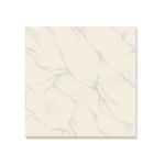 Classic Vitrified Tiles - Art 26 - 600 x 600 mm