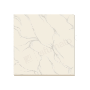 Classic Vitrified Tiles - Art 26 - 600 x 600 mm