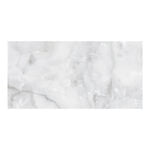 MEGA - Glossy - Aquarius Onyx Grey - 600 x 1200 mm