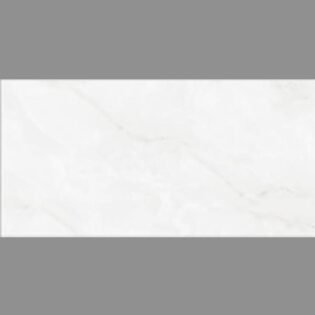 NARMADA - High Gloss - Beltile Onyx Grey - 600 x 1200 mm