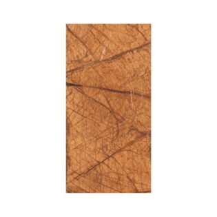 NARMADA - High Gloss - Bidasar - 600 x 1200 mm