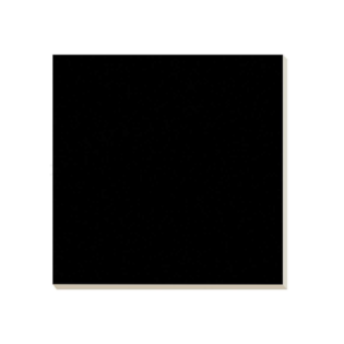 Plain Colour Vitrified Tiles - Black - 600 x 600 mm