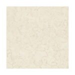 JET GRANITO - Nano Vitrified Tiles - BOTTOCINO - 600 x 600 mm