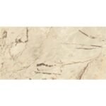 NARMADA - High Gloss - Breccia Charm - 600 x 1200 mm - Image 3