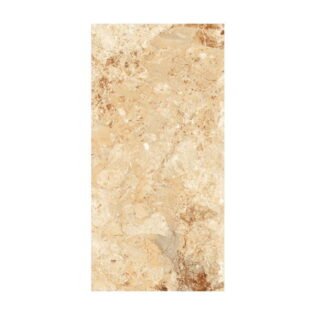 NARMADA - Glossy - Brecia Natural - 600 x 1200 mm