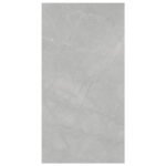 NARMADA - High Glossy - Burberry Grey - 1200 x 2400 mm