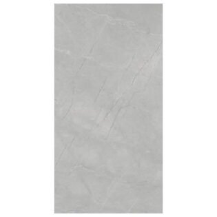 NARMADA - High Glossy - Burberry Grey - 1200 x 2400 mm