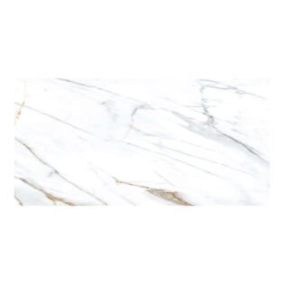 MEGA - Glossy - Canna White - 600 x 1200 mm