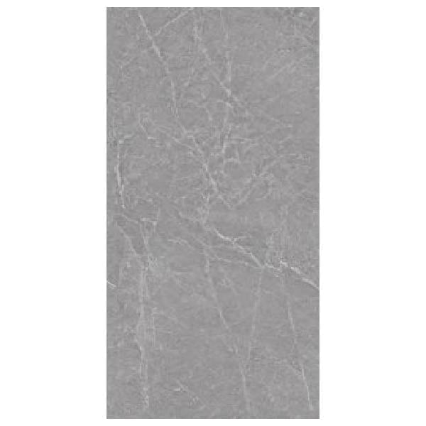 NARMADA - High Glossy - Capron Grey - 1200 x 2400 mm