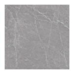 NARMADA - Rustic Matt - Capron Grey - 1200 x 1200 mm