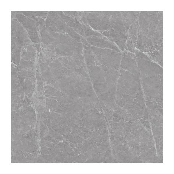 NARMADA - Rustic Matt - Capron Grey - 1200 x 1200 mm