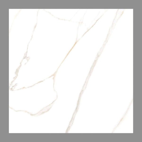 NARMADA - Vitrified Tiles - Glossy - Carrara - 600 x 600 mm