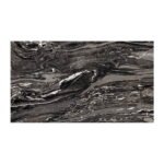NARMADA - High Gloss - Classic Black - 600 x 1200 mm