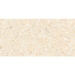 NARMADA - High Gloss - Concrete Beige - 600 x 1200 mm