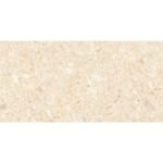 NARMADA - High Gloss - Concrete Beige - 600 x 1200 mm