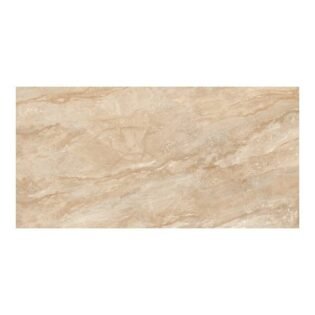 MEGA - Glossy - Daino Nuvolato DK - 600 x 1200 mm