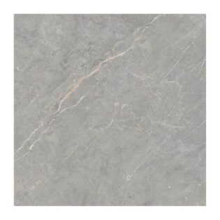 NARMADA - Dark High Glossy - Devci Grey - 1200 x 1200 mm