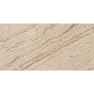 NARMADA - High Gloss - Dyna Classic - 600 x 1200 mm