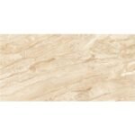 NARMADA - High Gloss - Dyna Fenta - 600 x 1200 mm