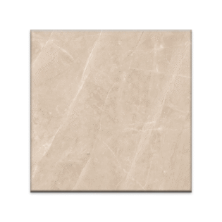 Narmada Polished Floor Tiles - EB-1002 BROWN