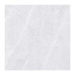 NARMADA - Vitrified Tiles - Glossy - EF-1002 - 600 x 600 mm