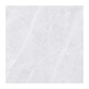 NARMADA - Vitrified Tiles - Glossy - EF-1002 - 600 x 600 mm