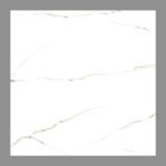 NARMADA - Marble Matt - Electro Satvario - 600 x 600 mm