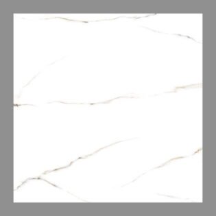 NARMADA - Marble Matt - Electro Satvario - 600 x 600 mm