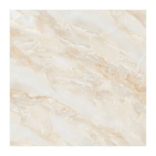 NARMADA - Vitrified Tiles - Glossy - Elite Onyx - 600 x 600 mm