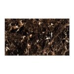 NARMADA - High Gloss - Emperador Gress - 600 x 1200 mm