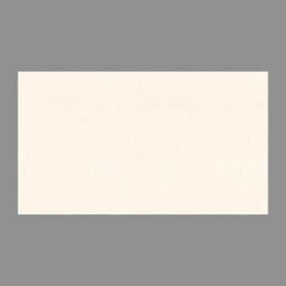 NARMADA - Full Body - Genesis Artico - 600 x 1200 mm