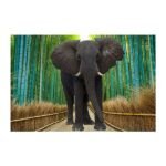 Highgloss Poster - Nature Tiles - RJ-69 - 600 x 900 mm