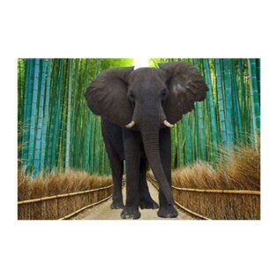 Highgloss Poster - Nature Tiles - RJ-69 - 600 x 900 mm