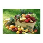 Highgloss Poster - Kitchen Tiles - RJ-97 - 600 x 900 mm