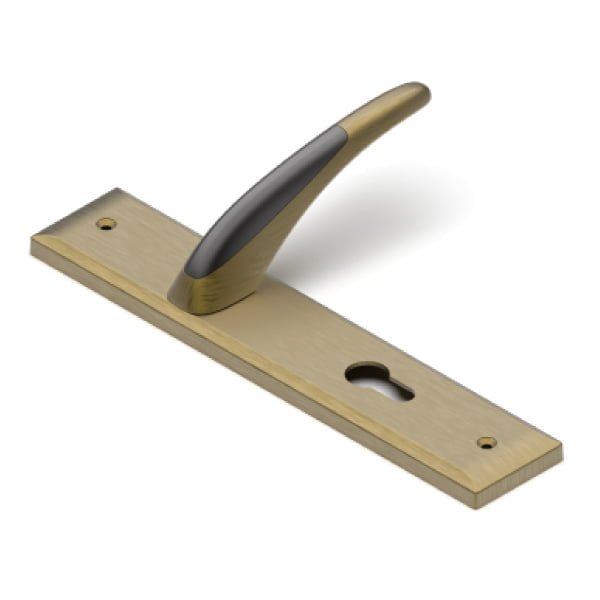 Italica - Mortise Handle - J2M Plate and Rose