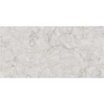 NARMADA - High Gloss - Keronix Grey - 600 x 1200 mm