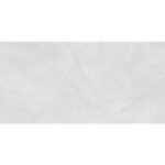 NARMADA - High Gloss - Leaf Armani Silver - 600 x 1200 mm