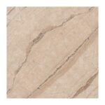 NARMADA - High Glossy - Mariyan Brown - 1200 x 1200 mm