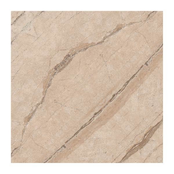 NARMADA - High Glossy - Mariyan Brown - 1200 x 1200 mm