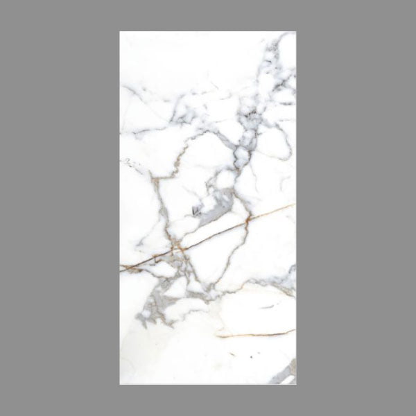 NARMADA - Glossy - Mercury - 600 x 1200 mm