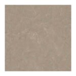 NARMADA - Rustic Matt - Mexxo Sienna - 1200 x 1200 mm