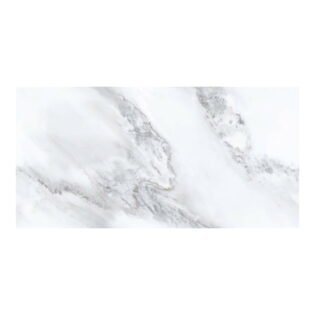 MEGA - Endless - Michelangelo - 600 x 1200 mm