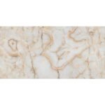 NARMADA - High Gloss - Monaco Onyx - 600 x 1200 mm