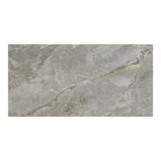 MEGA - Glossy - Nimbus Griss DK - 600 x 1200 mm