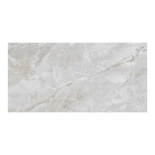 MEGA - Glossy - Nimbus Griss LT - 600 x 1200 mm