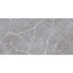 NARMADA - High Gloss - Placenta Grey - 600 x 1200 mm